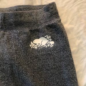 Roots skinny joggers